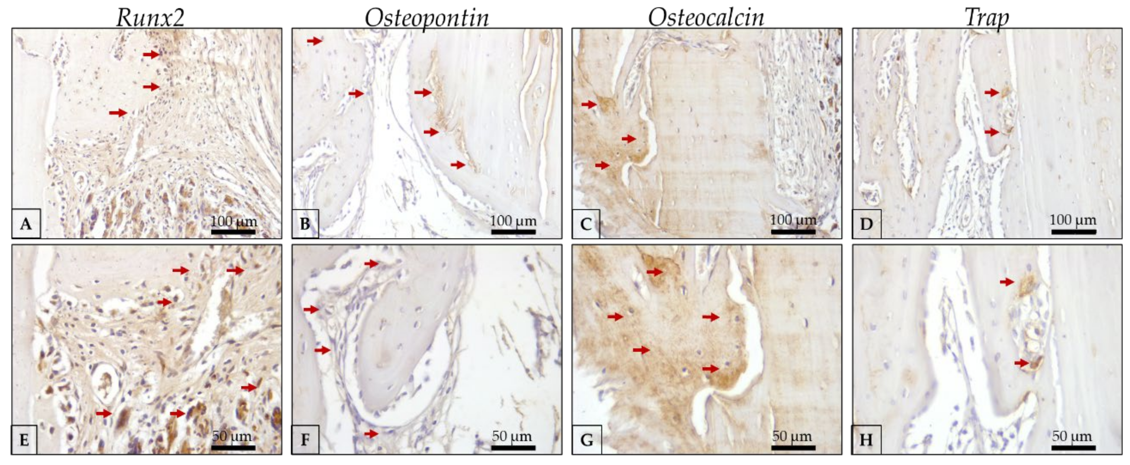 Polymers 15 00031 g008 Polymers 15 00031 g008