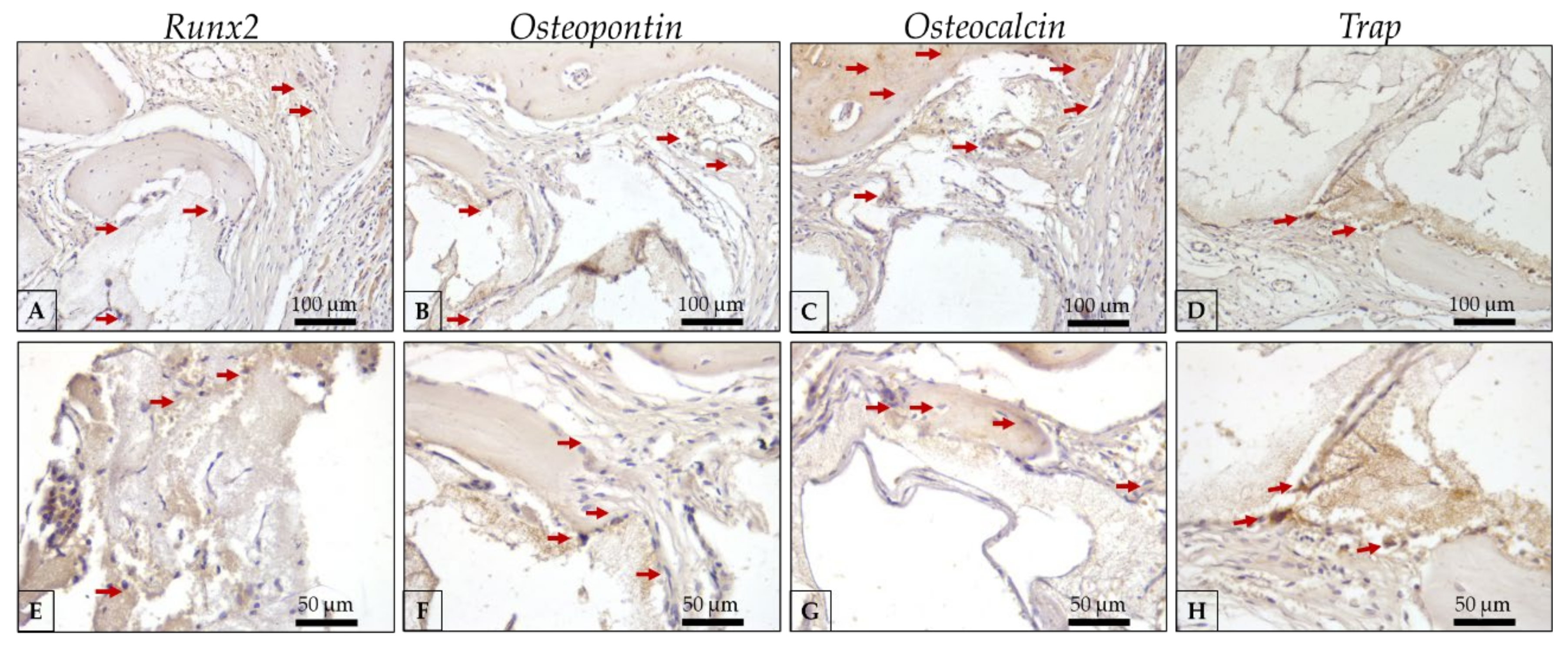Polymers 15 00031 g009 Polymers 15 00031 g009