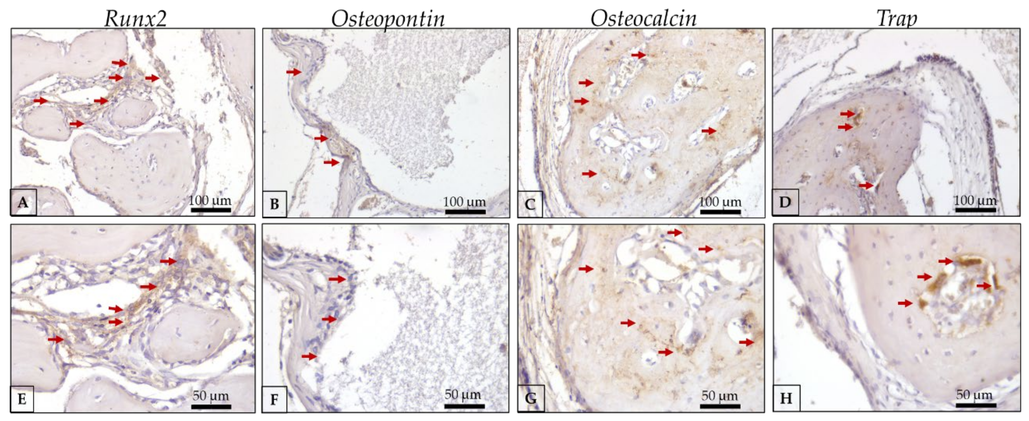 Polymers 15 00031 g010 Polymers 15 00031 g010