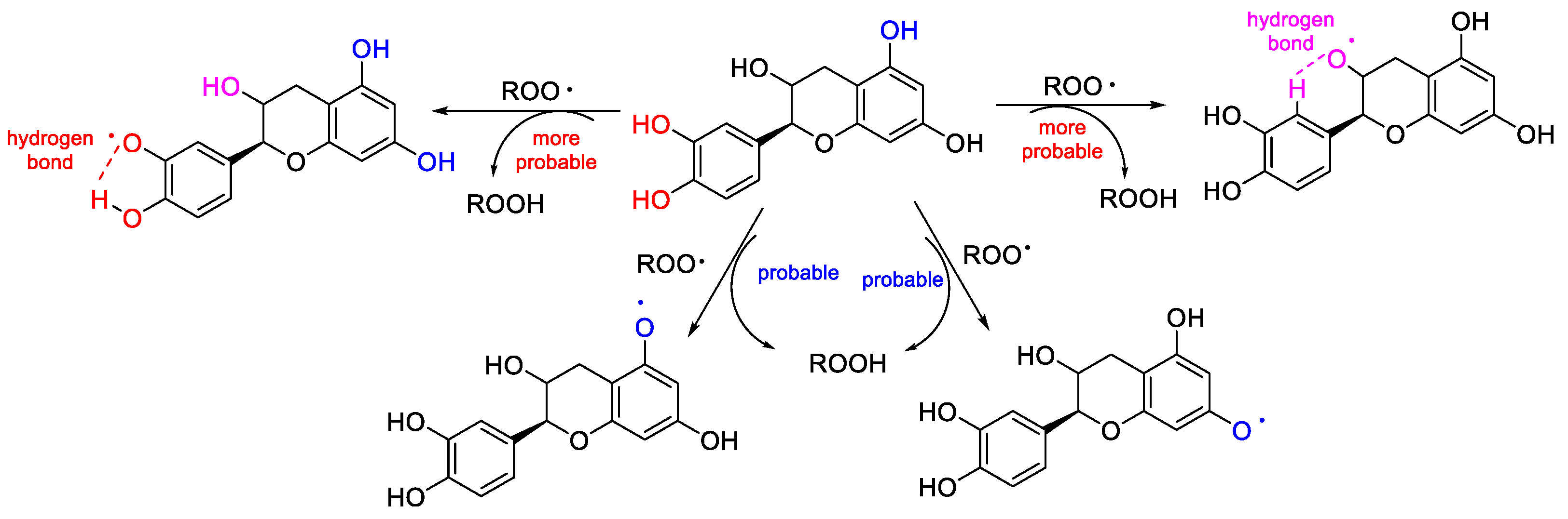 Polymers 15 00032 sch002 Polymers 15 00032 sch002