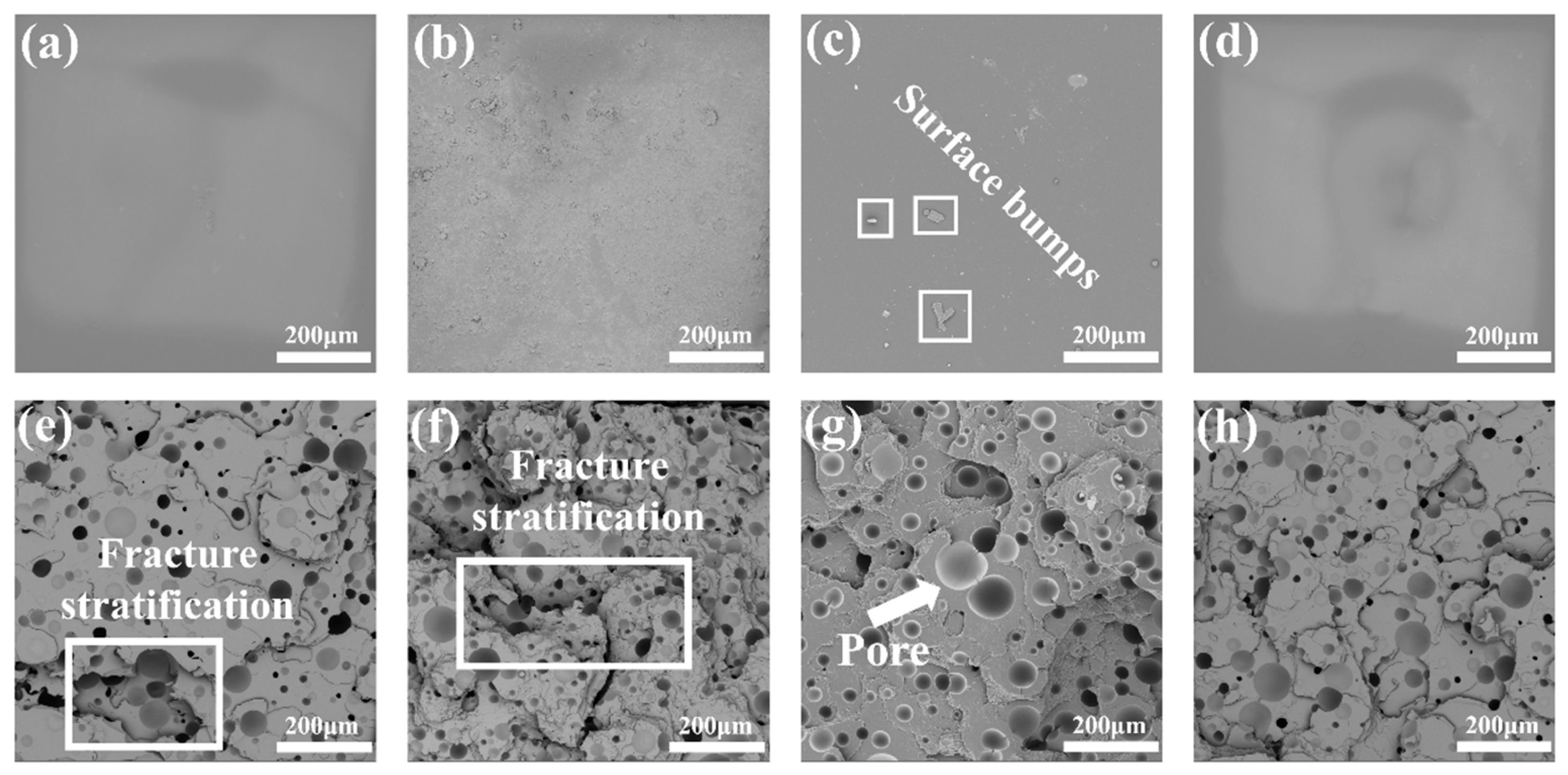 Polymers 15 00041 g007