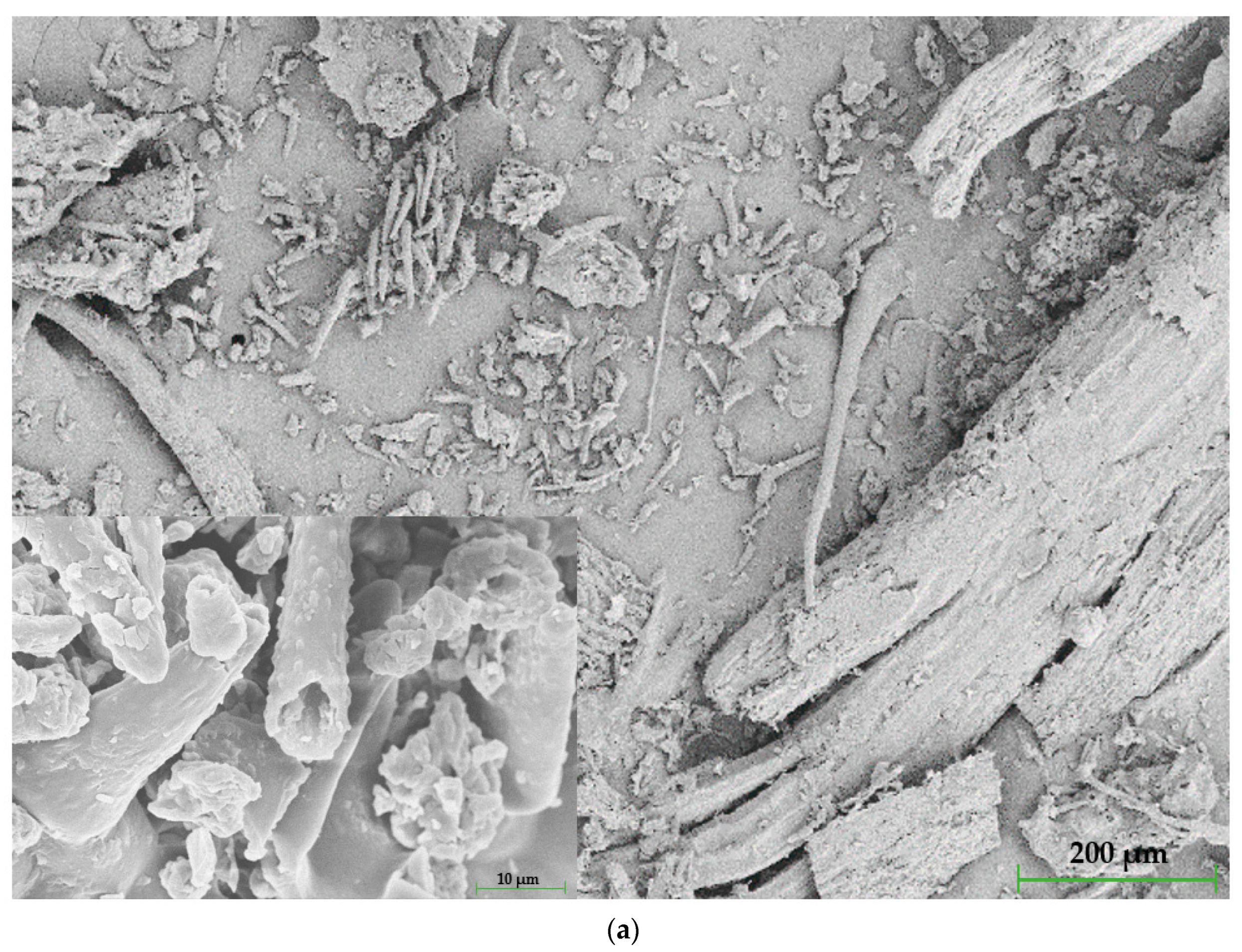 Polymers 15 00042 g005a