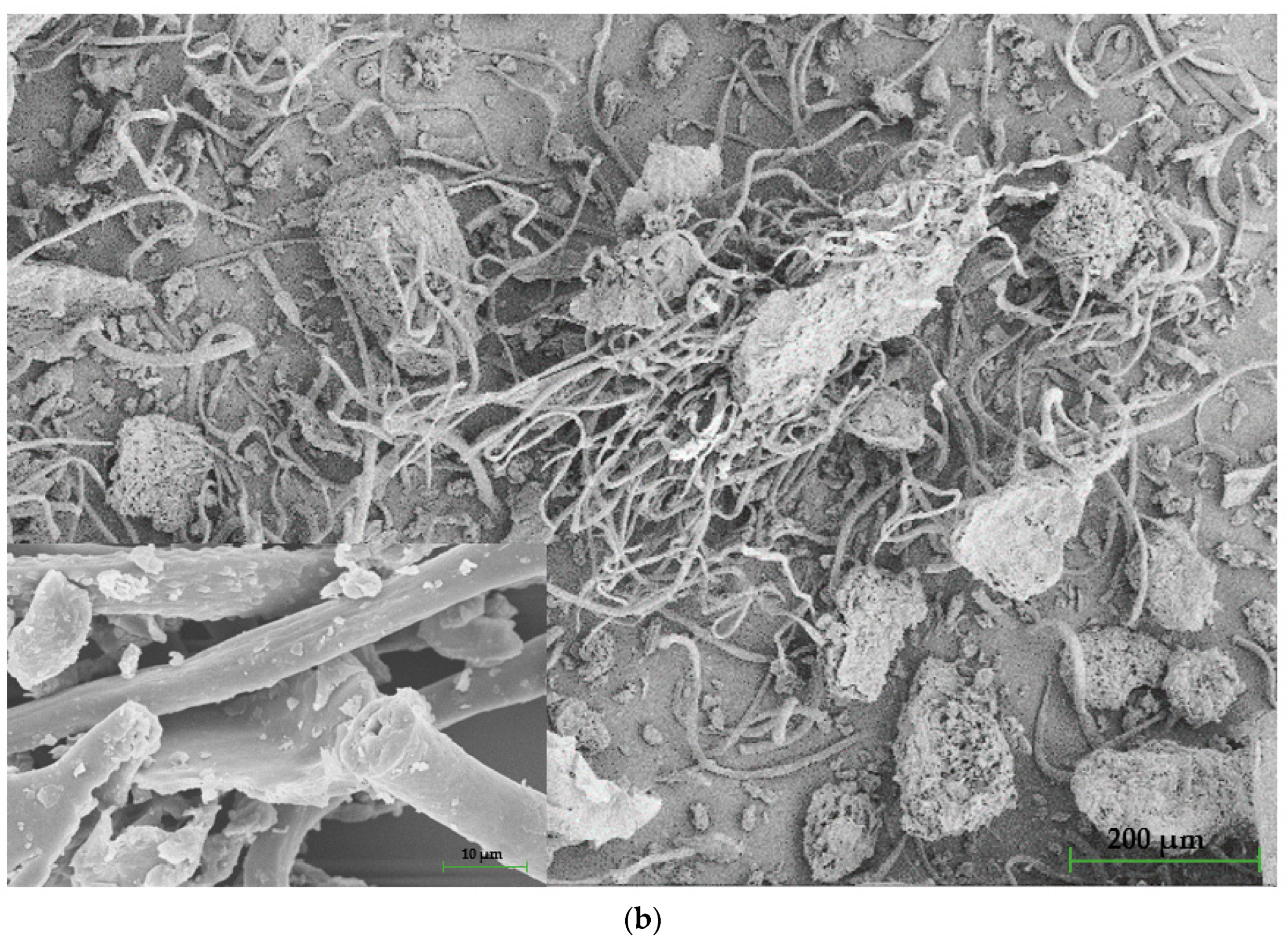 Polymers 15 00042 g005b