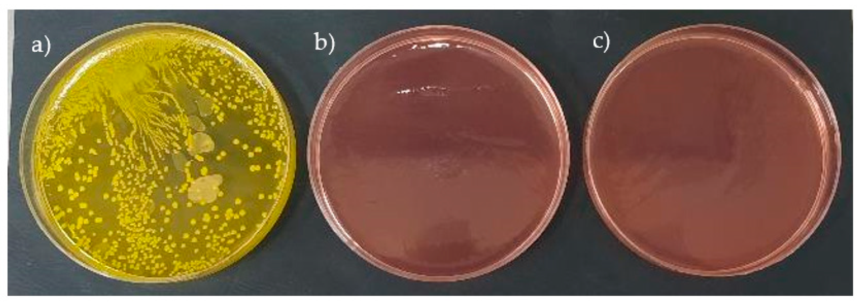 Polymers 15 00042 g010