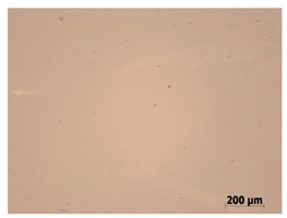Polymers 15 00042 i001