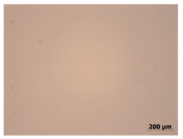 Polymers 15 00042 i003