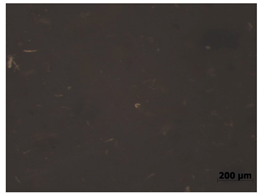 Polymers 15 00042 i005