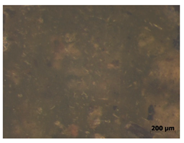 Polymers 15 00042 i007