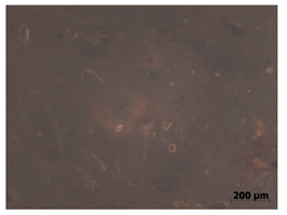 Polymers 15 00042 i015