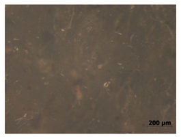 Polymers 15 00042 i016