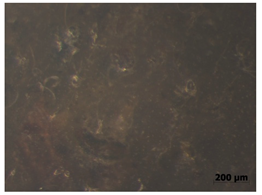 Polymers 15 00042 i019