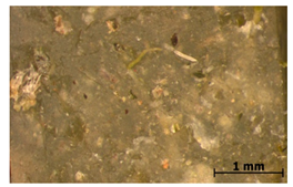 Polymers 15 00042 i022