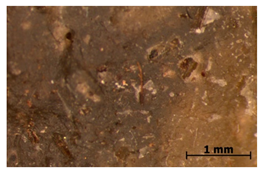Polymers 15 00042 i023