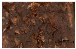 Polymers 15 00042 i024