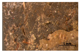 Polymers 15 00042 i026