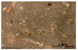 Polymers 15 00042 i031