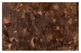 Polymers 15 00042 i036