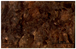 Polymers 15 00042 i039