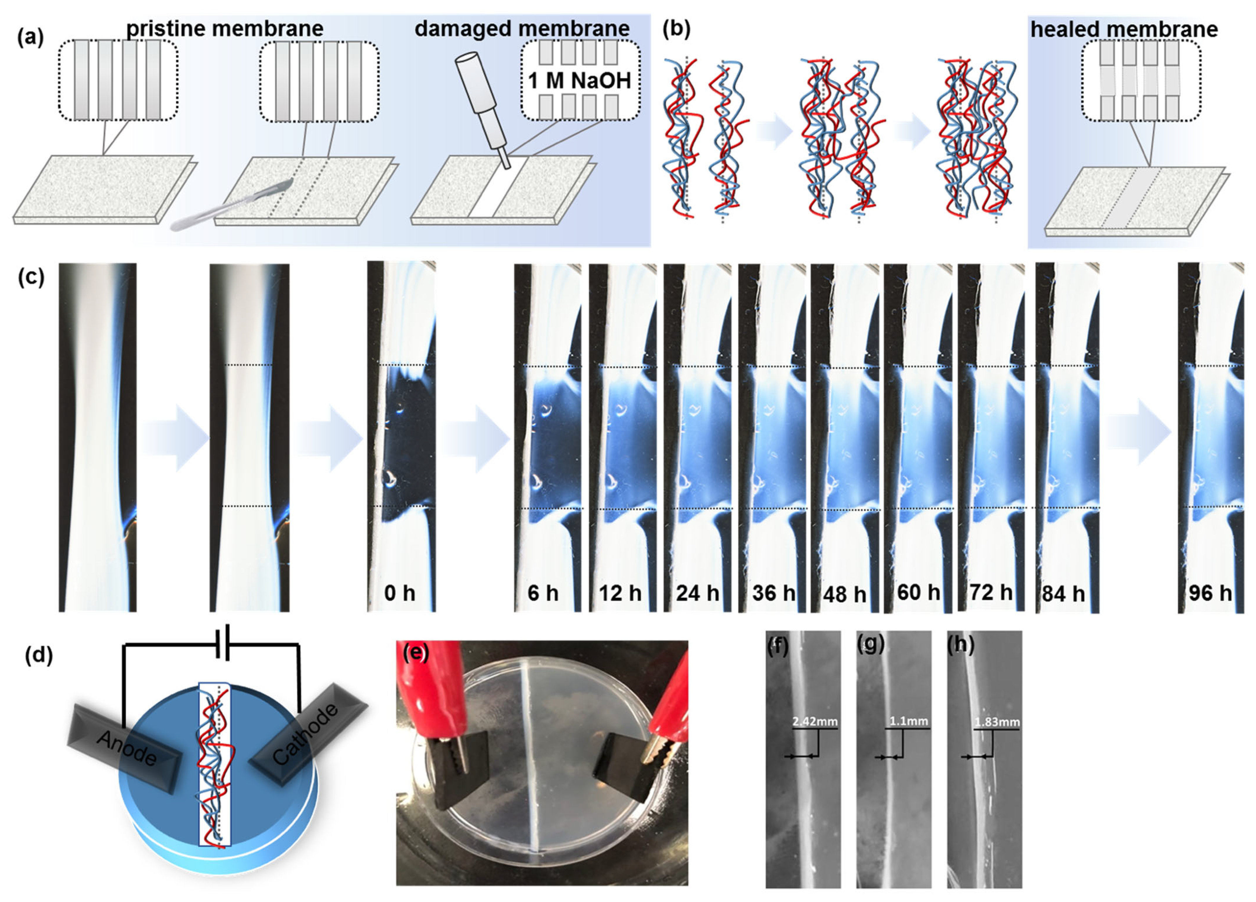 Polymers 15 00045 g004 Polymers 15 00045 g004