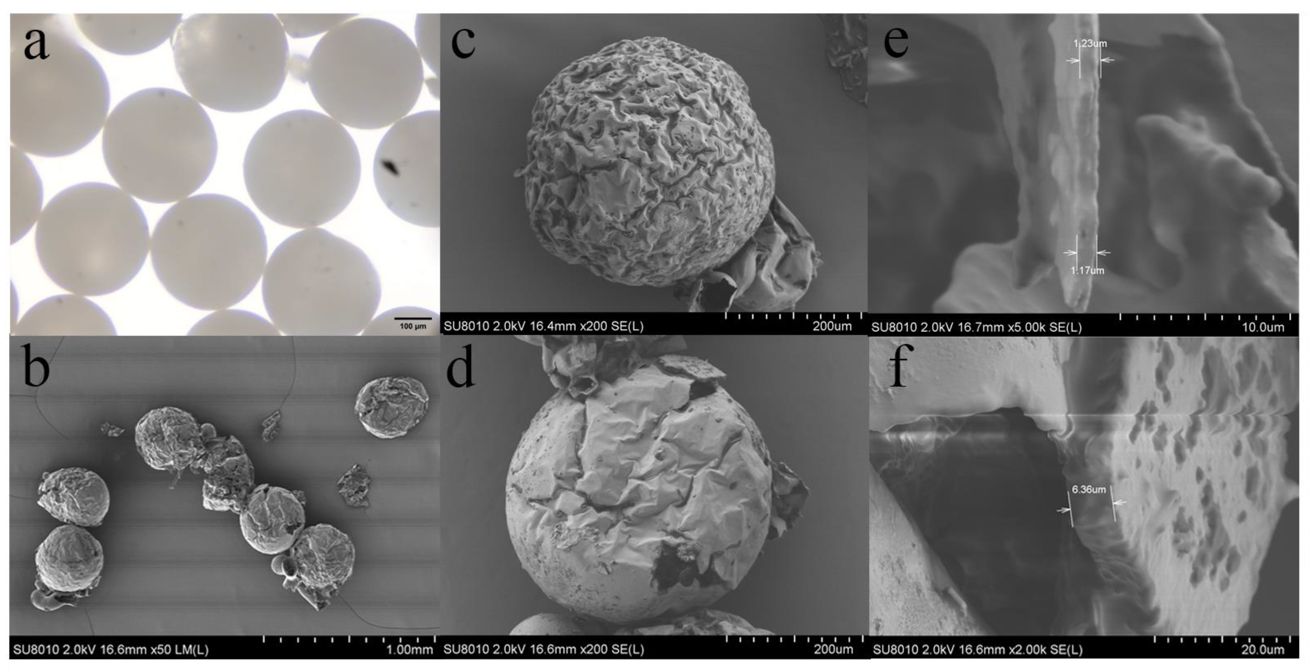 Polymers 15 00053 g005
