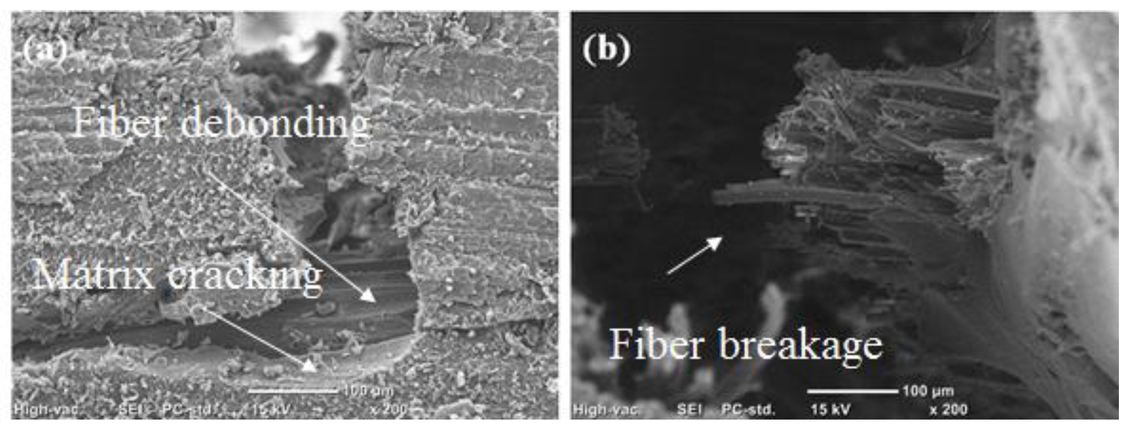 Polymers 15 00060 g009 Polymers 15 00060 g009