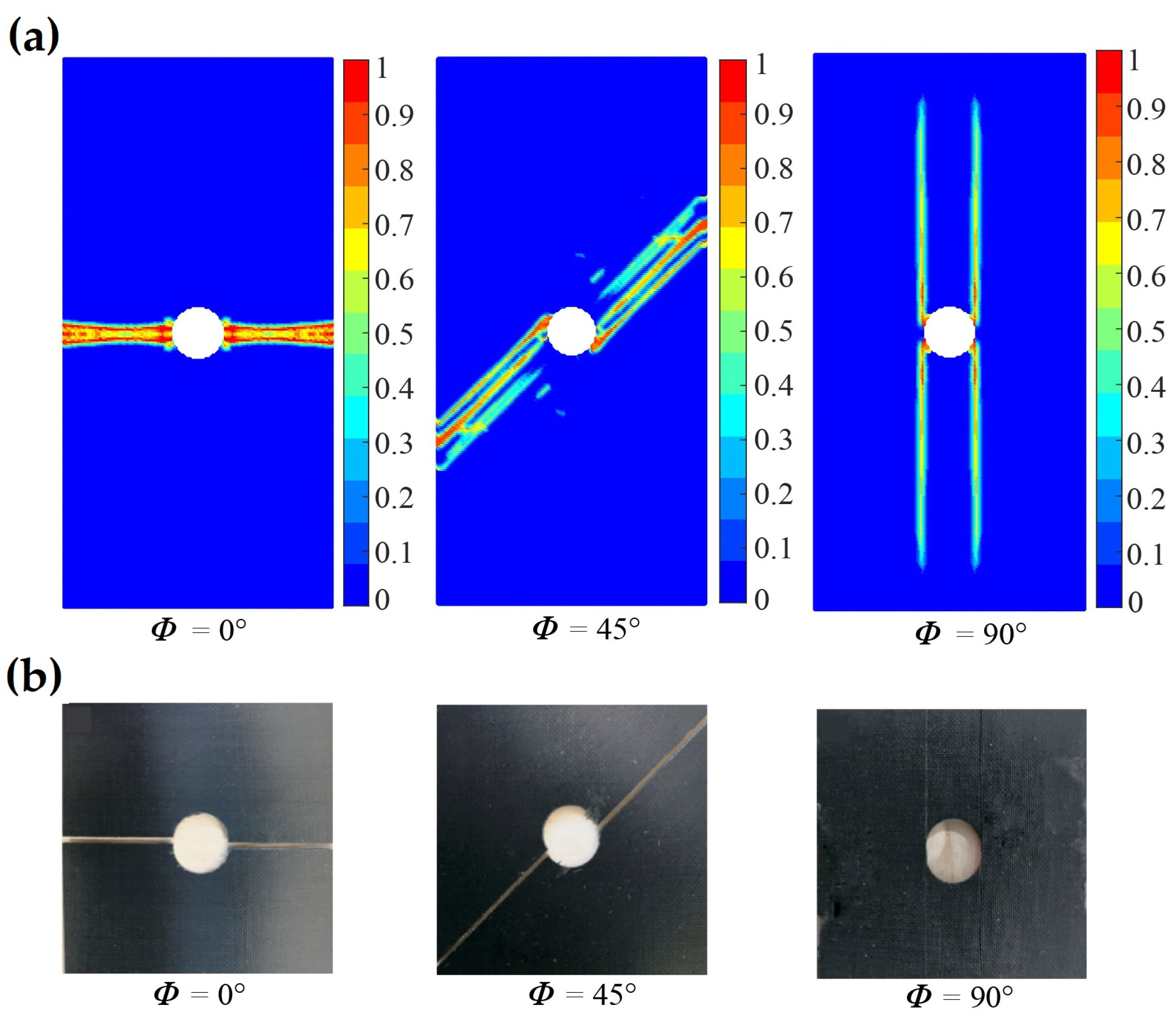 Polymers 15 00064 g007 Polymers 15 00064 g007