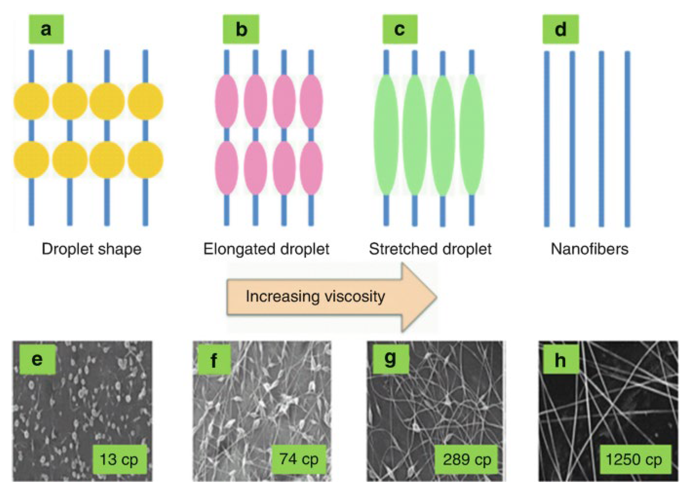 Polymers 15 00065 g008 Polymers 15 00065 g008