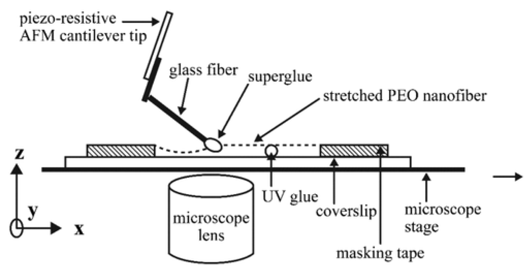 Polymers 15 00065 g011 Polymers 15 00065 g011