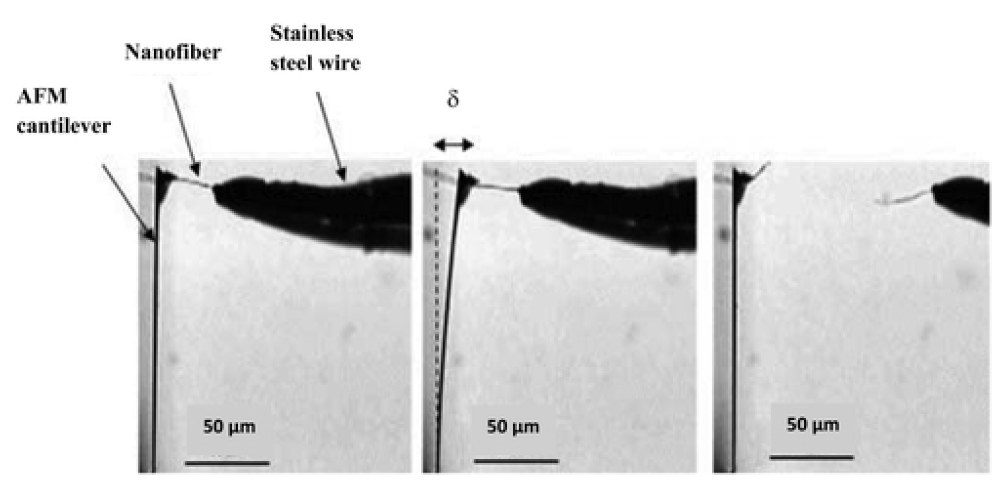 Polymers 15 00065 g012 Polymers 15 00065 g012