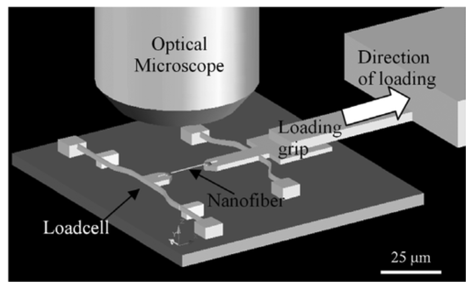Polymers 15 00065 g013 Polymers 15 00065 g013