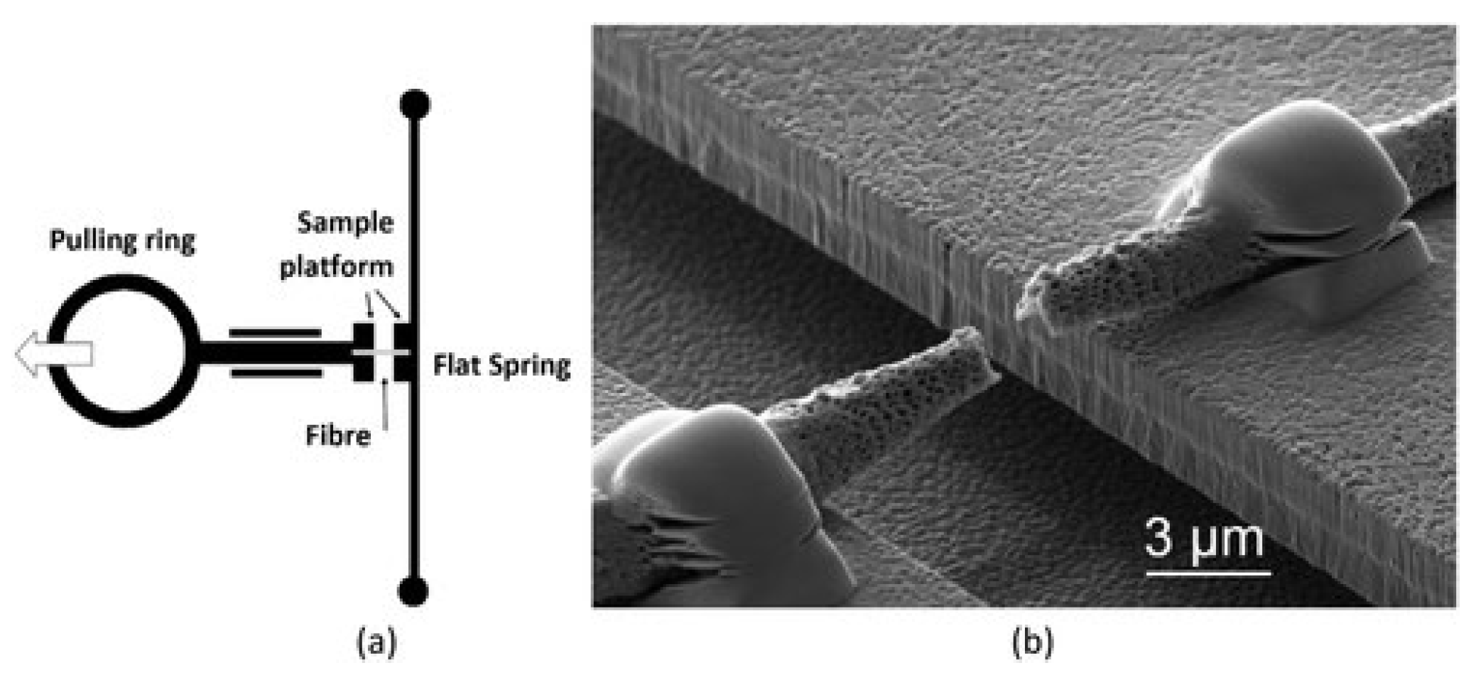 Polymers 15 00065 g014 Polymers 15 00065 g014
