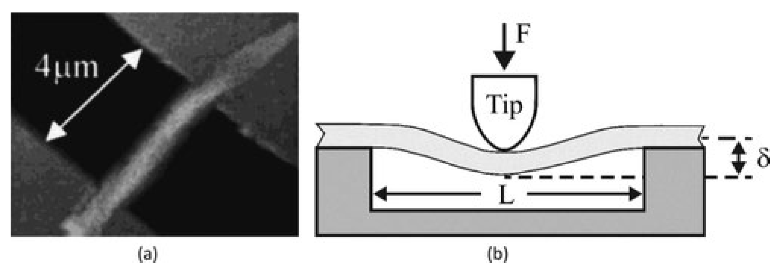 Polymers 15 00065 g018 Polymers 15 00065 g018