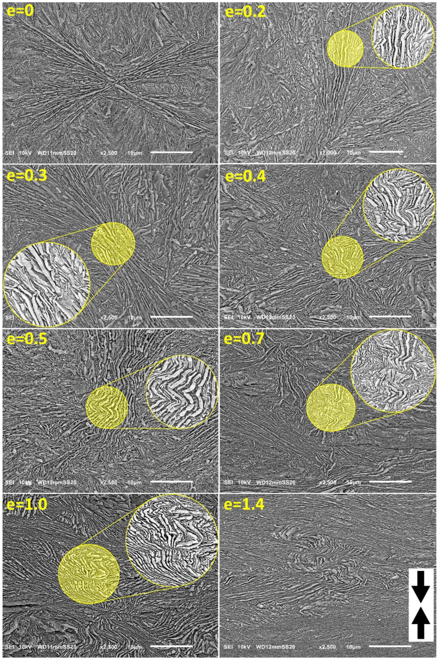 Polymers 15 00066 g005