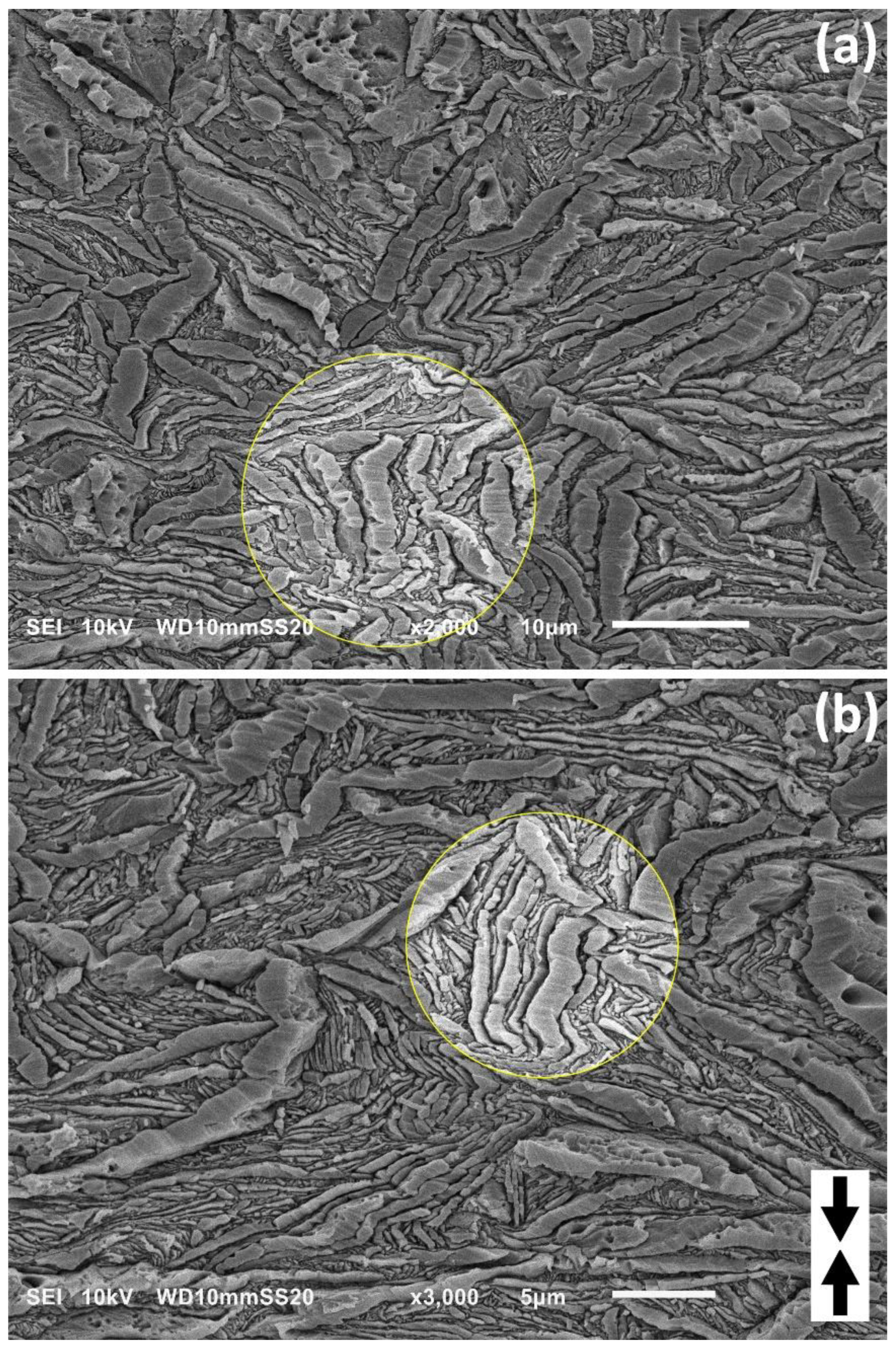 Polymers 15 00066 g009
