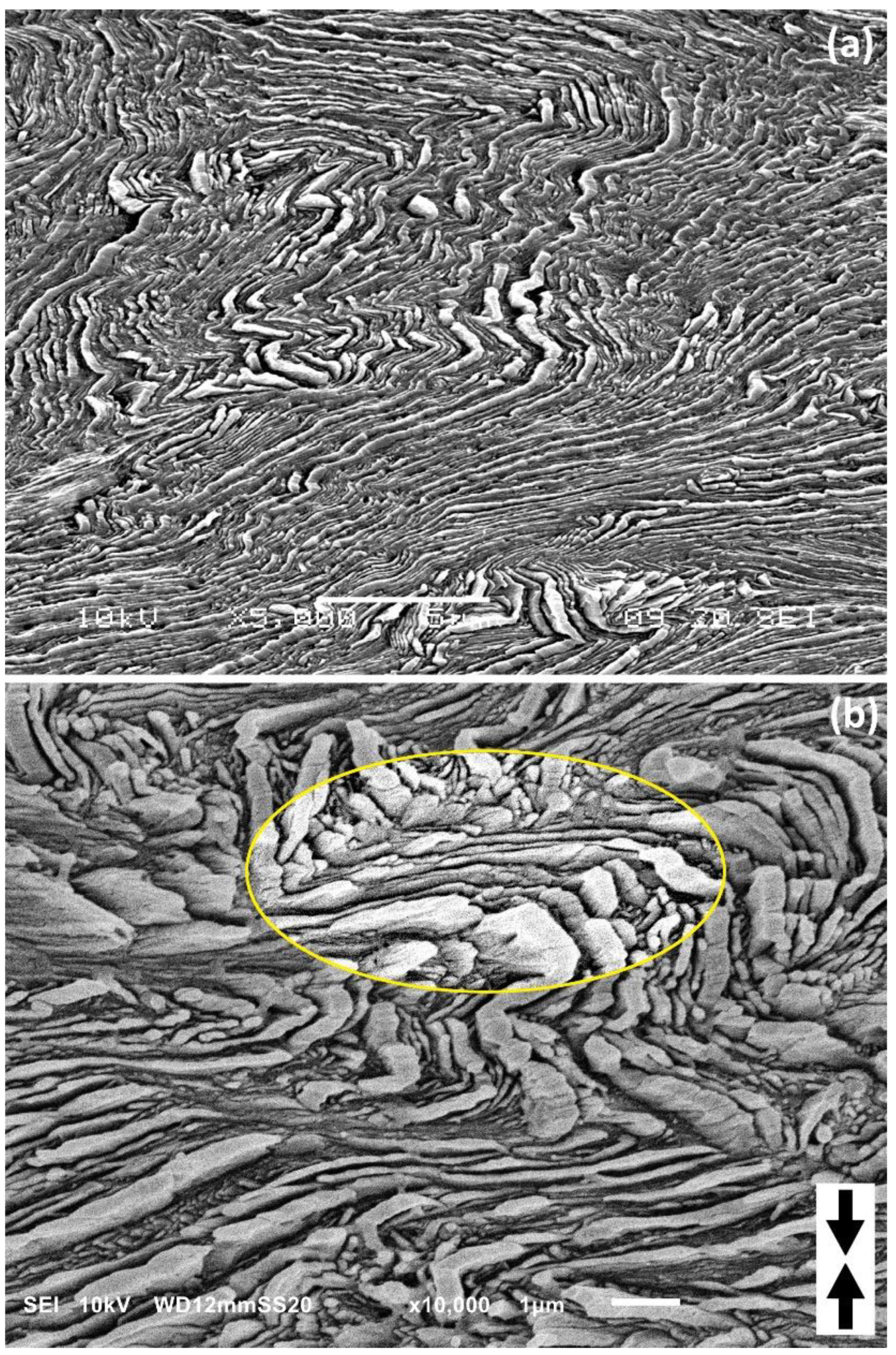 Polymers 15 00066 g011