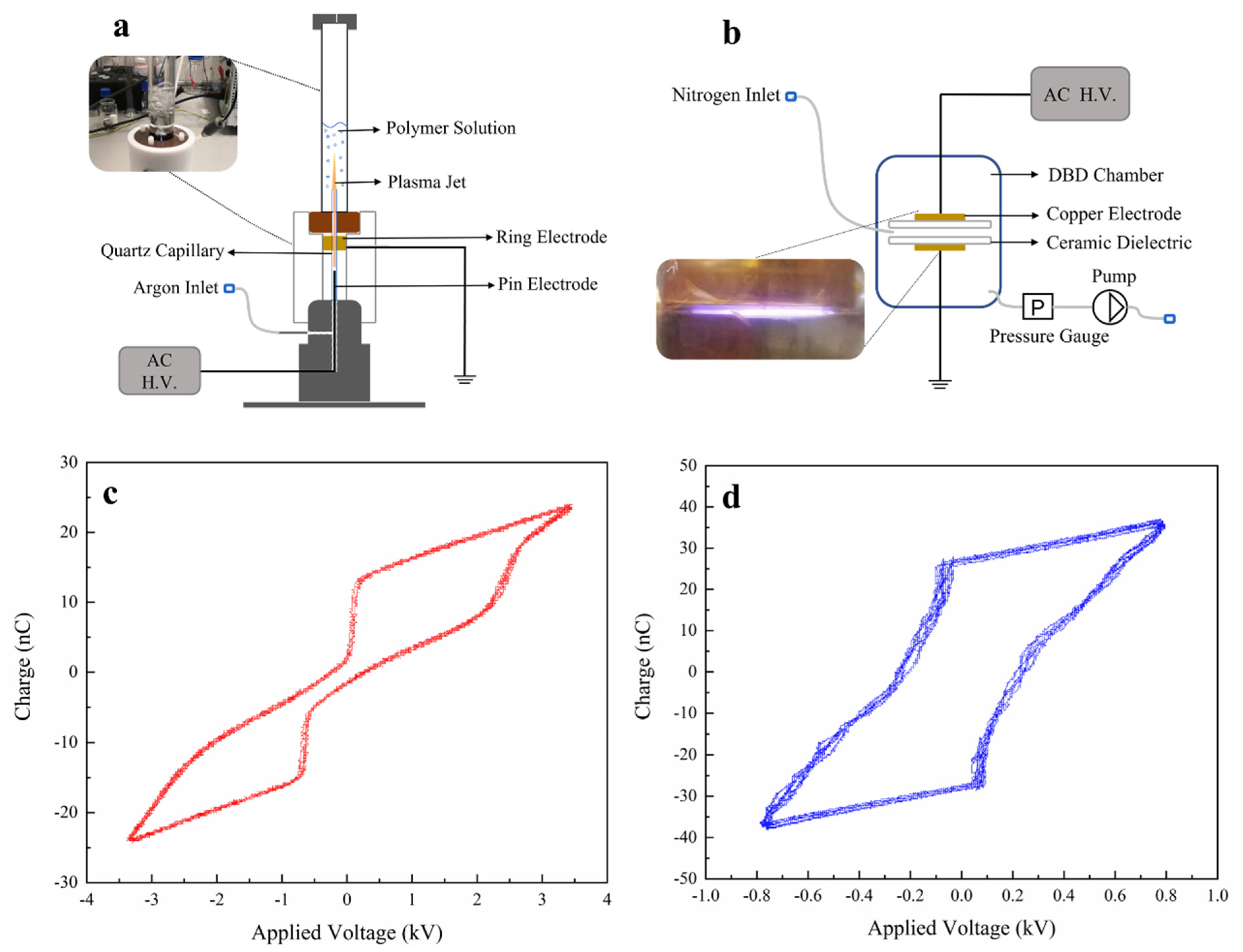 Polymers 15 00072 g001