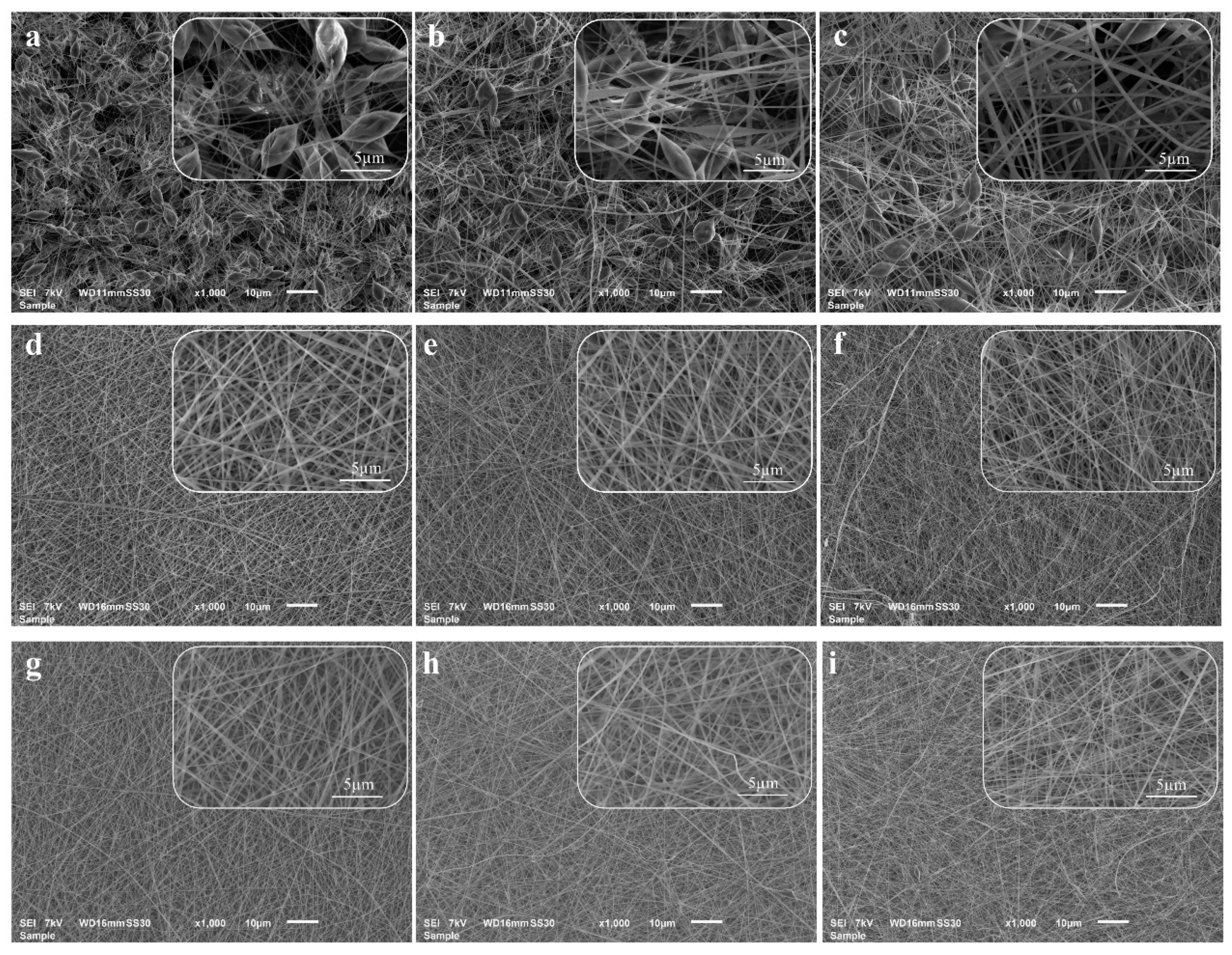 Polymers 15 00072 g005