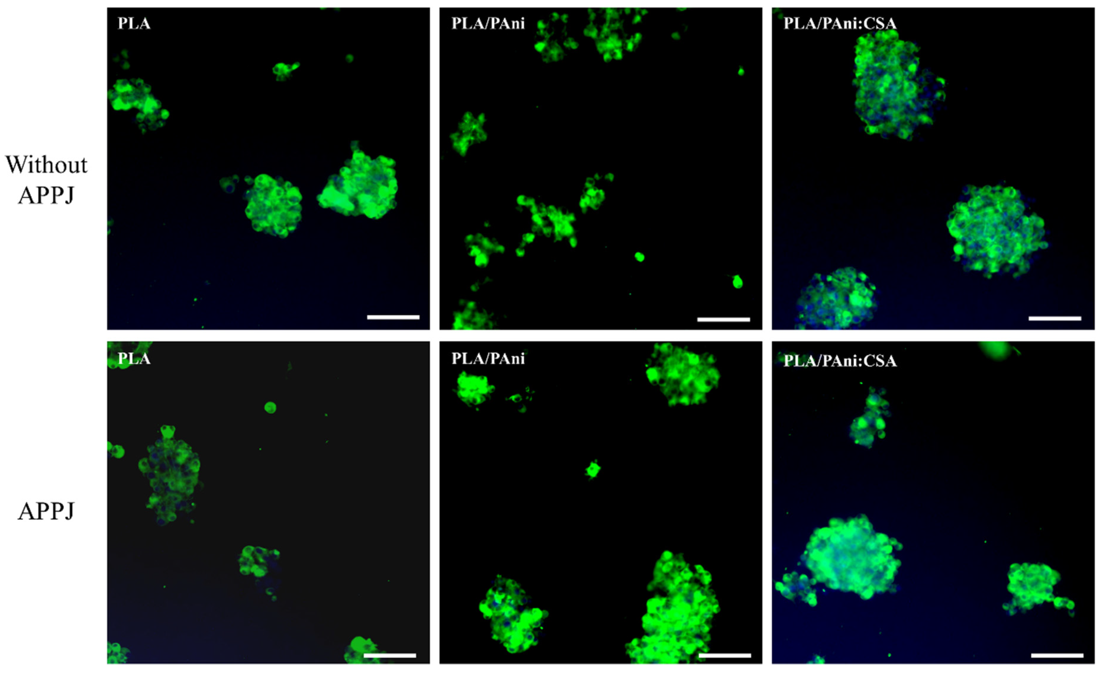 Polymers 15 00072 g009