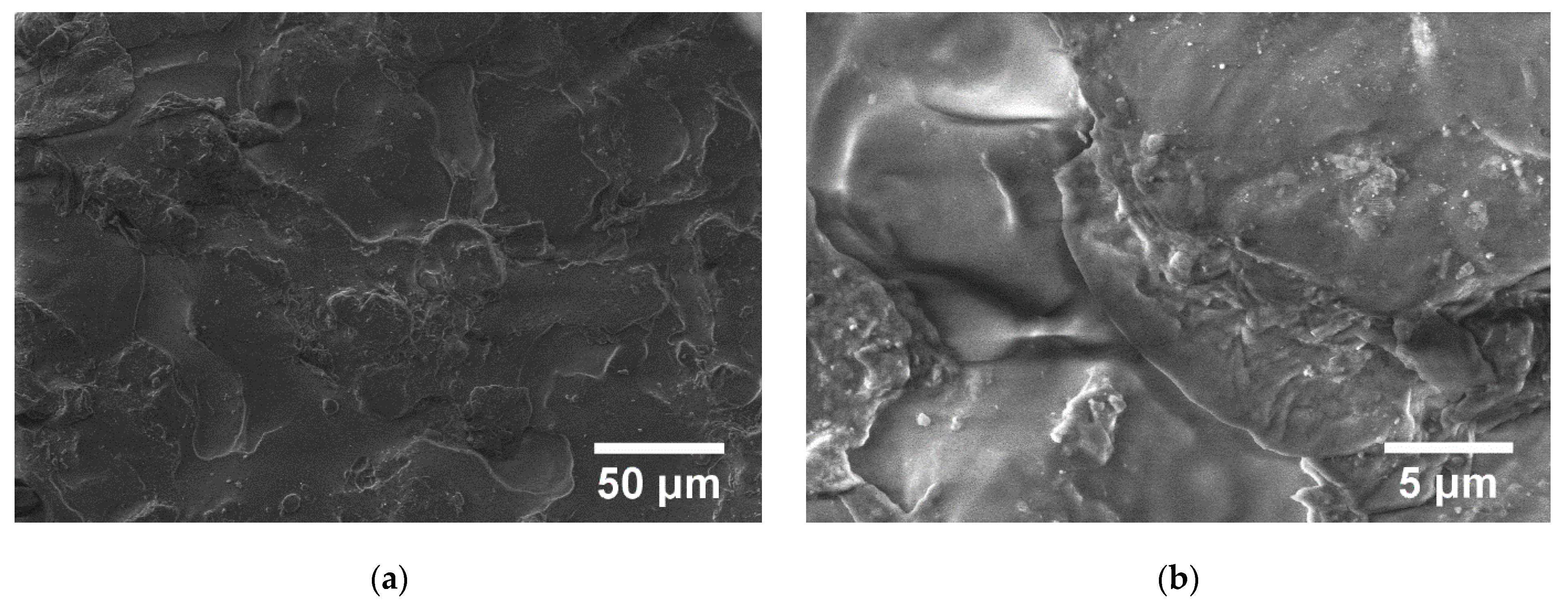 Polymers 15 00073 g013