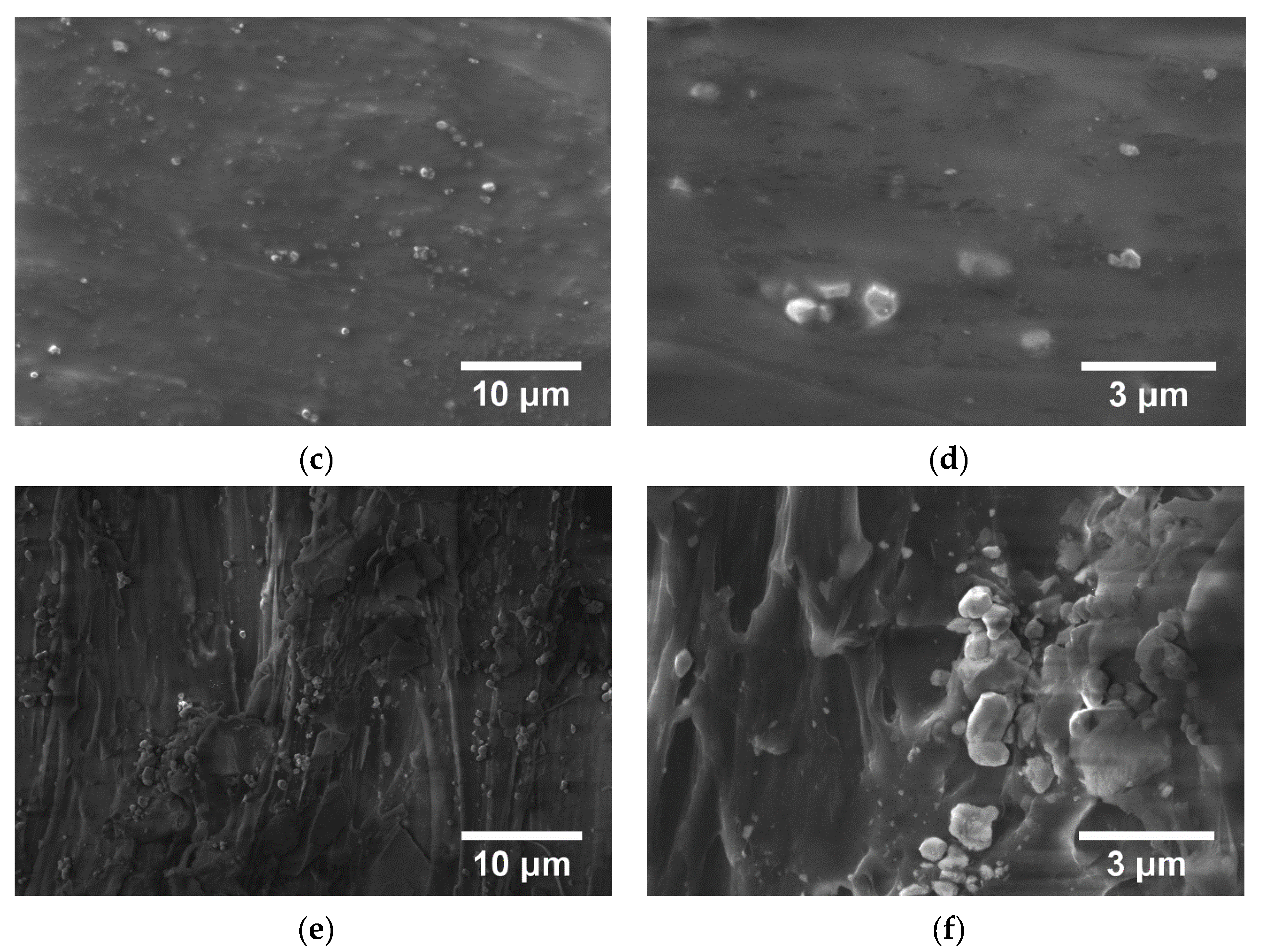 Polymers 15 00073 g015b