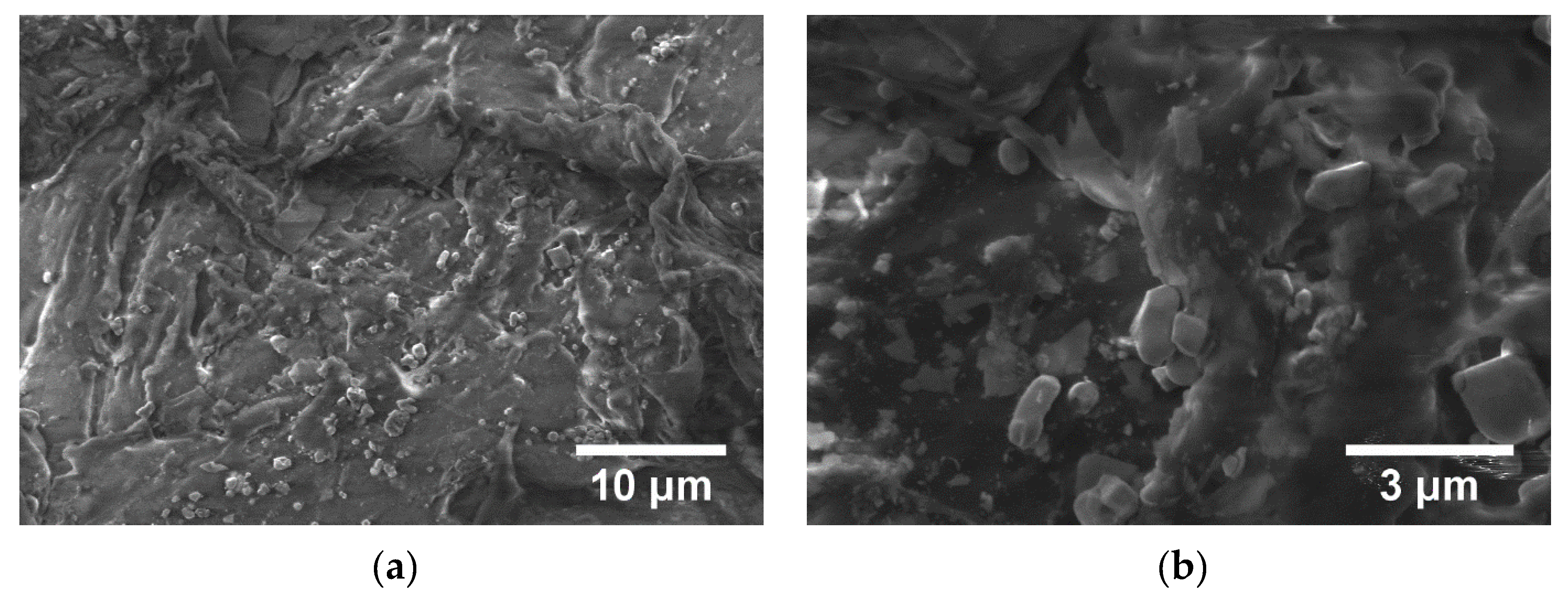 Polymers 15 00073 g016a