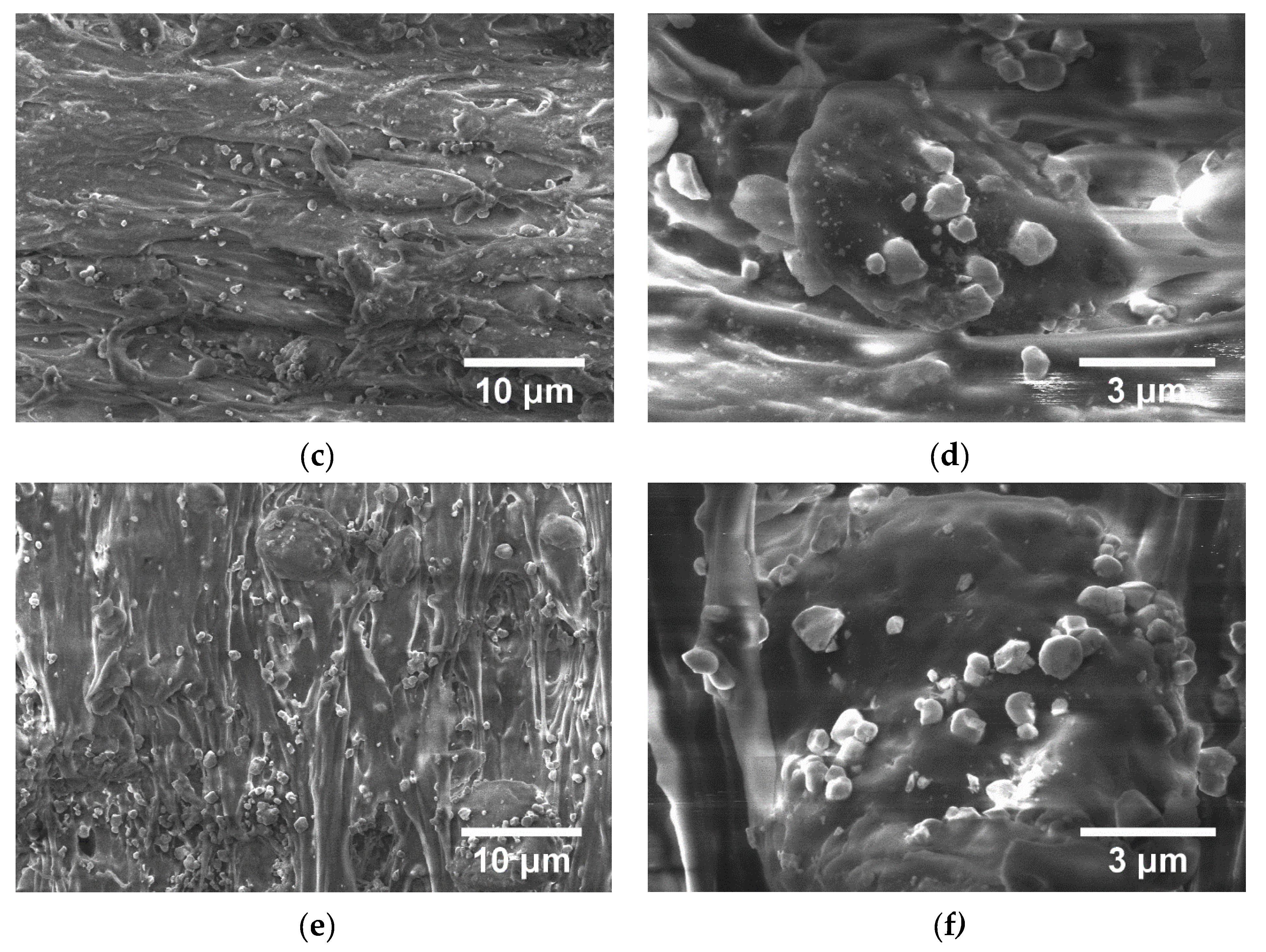 Polymers 15 00073 g016b