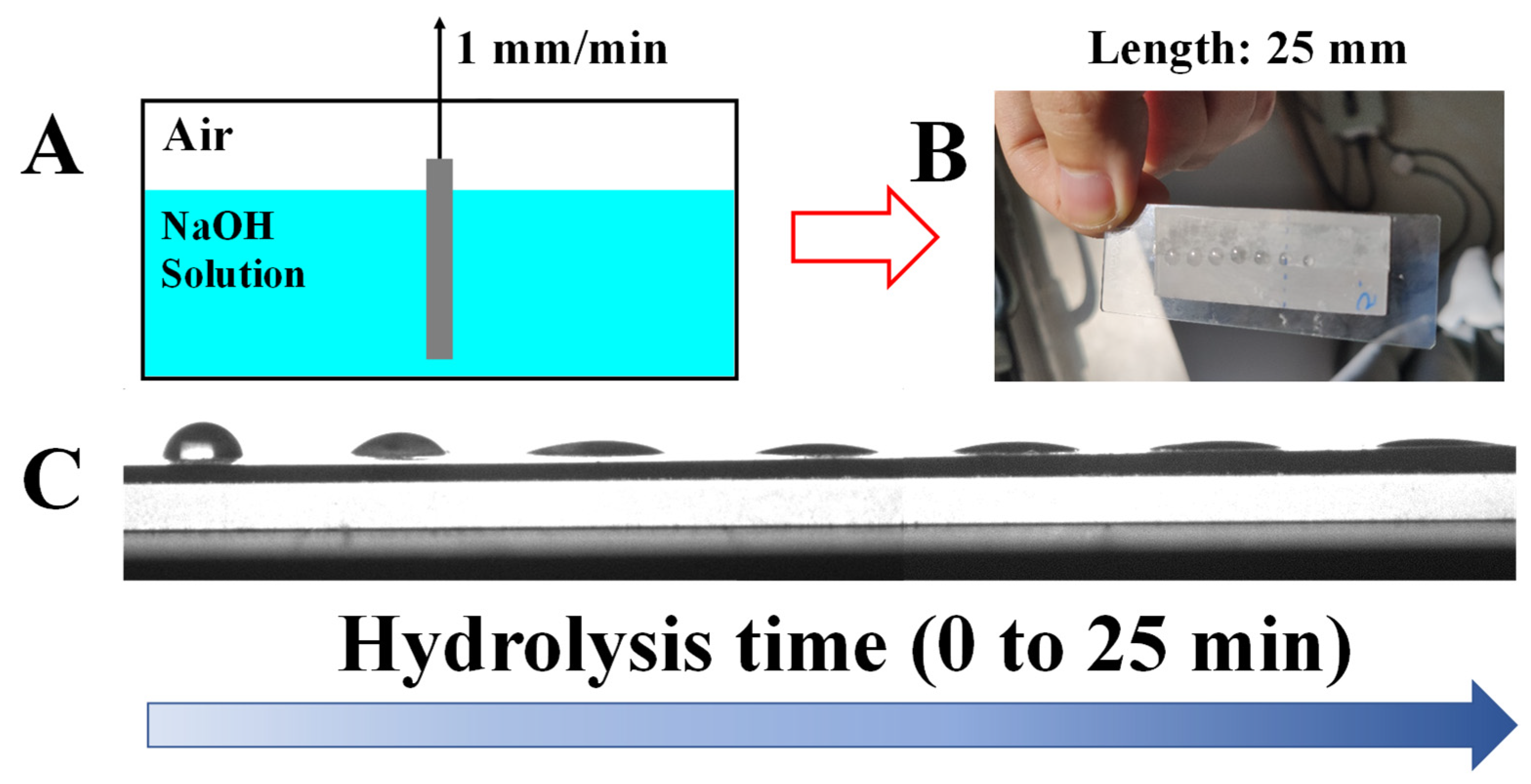 Polymers 15 00075 g003 Polymers 15 00075 g003