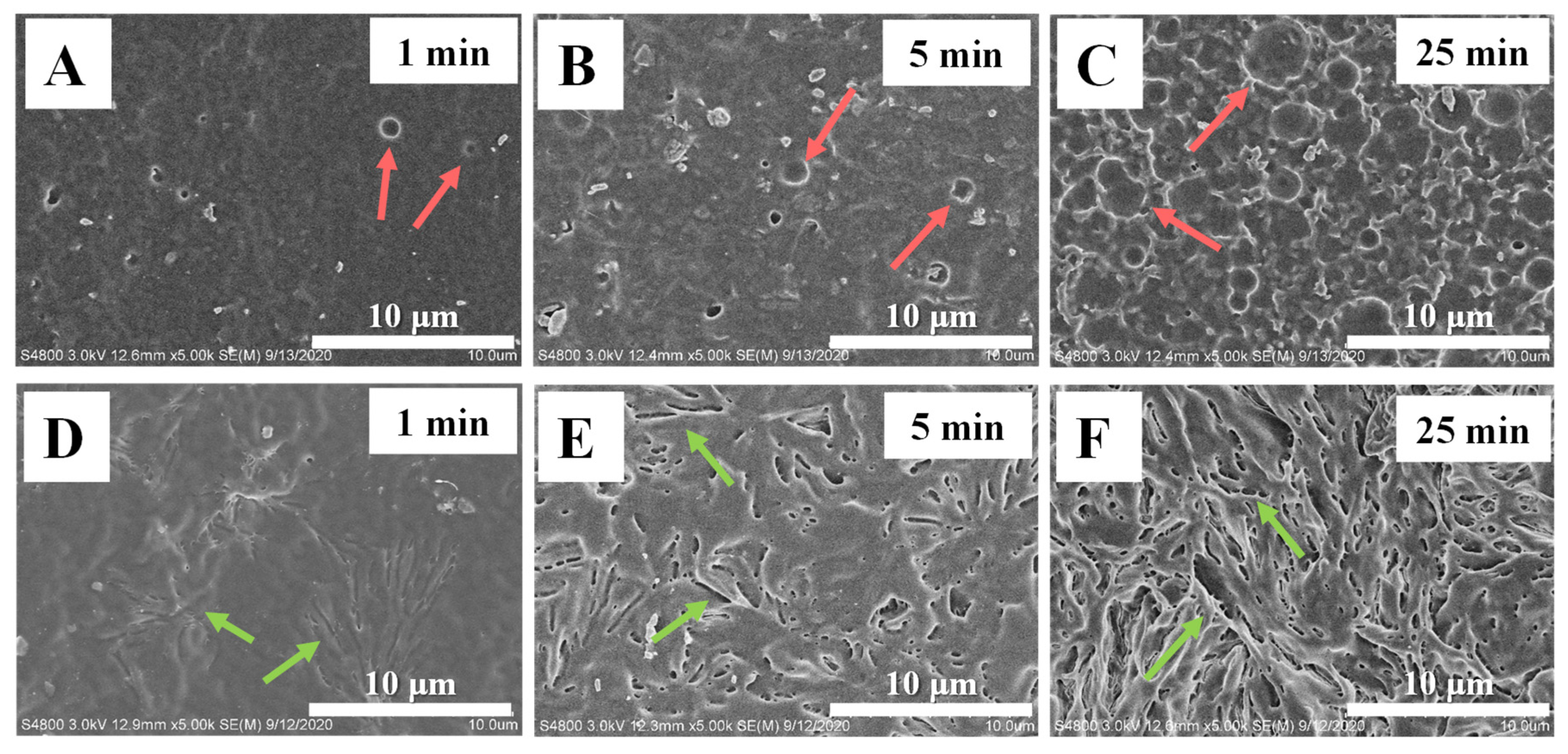 Polymers 15 00075 g005 Polymers 15 00075 g005