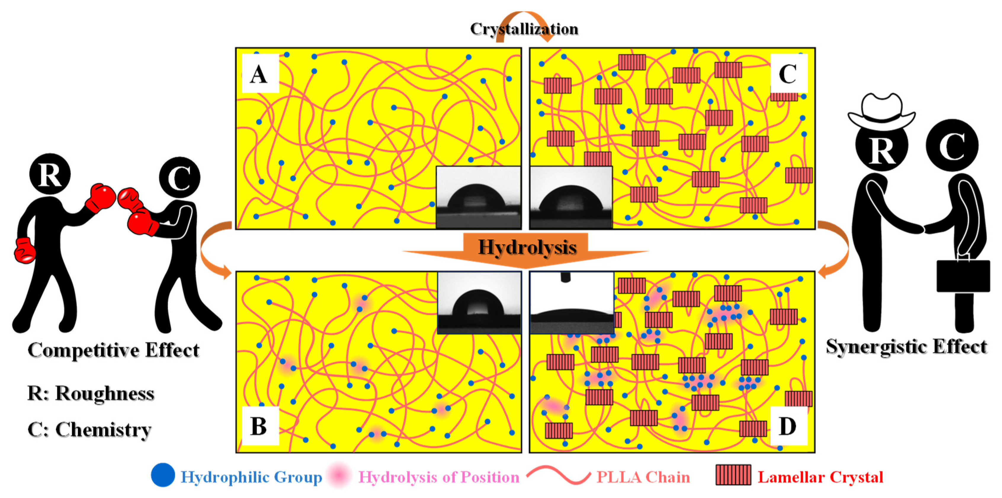 Polymers 15 00075 g007 Polymers 15 00075 g007
