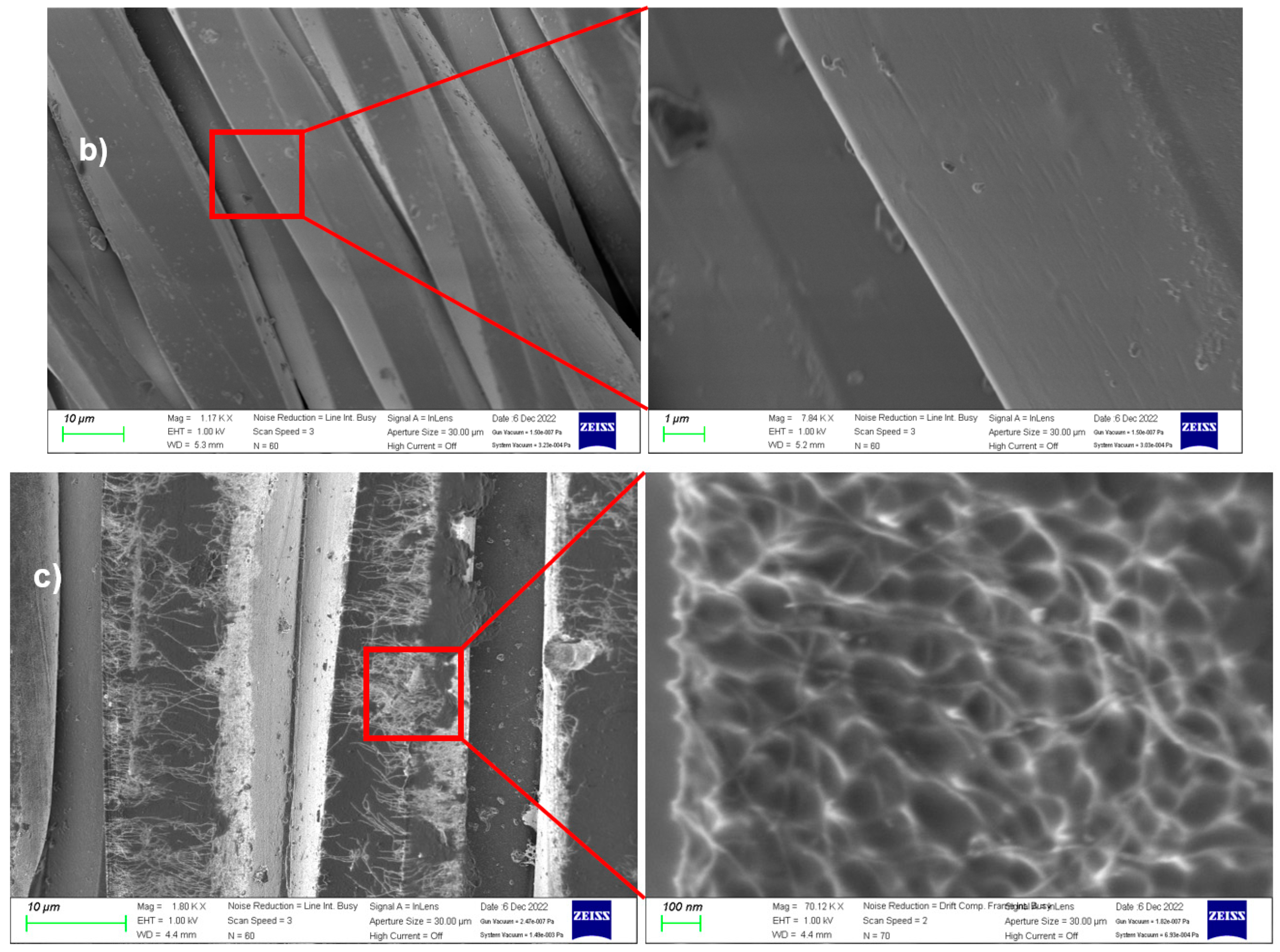 Polymers 15 00078 g004b Polymers 15 00078 g004b