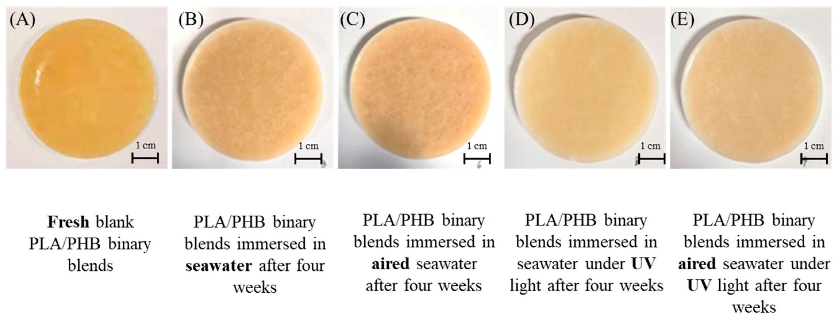 Polymers 15 00082 g009