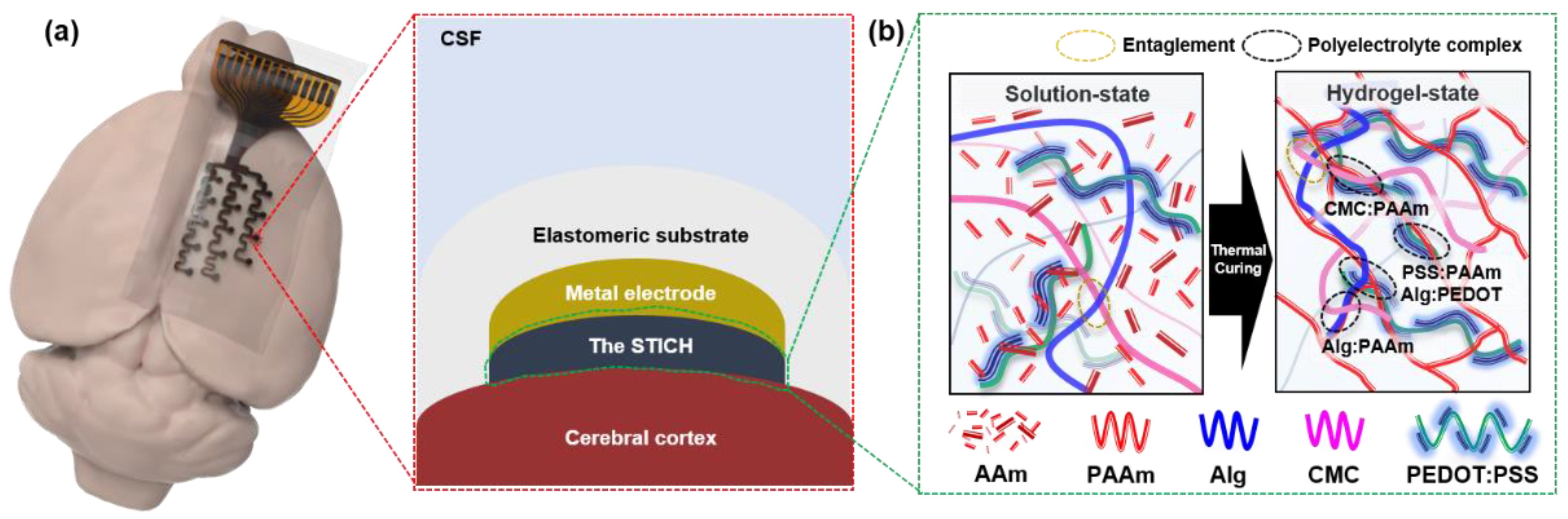 Polymers Free FullText Stretchable Surface Electrode Arrays Using