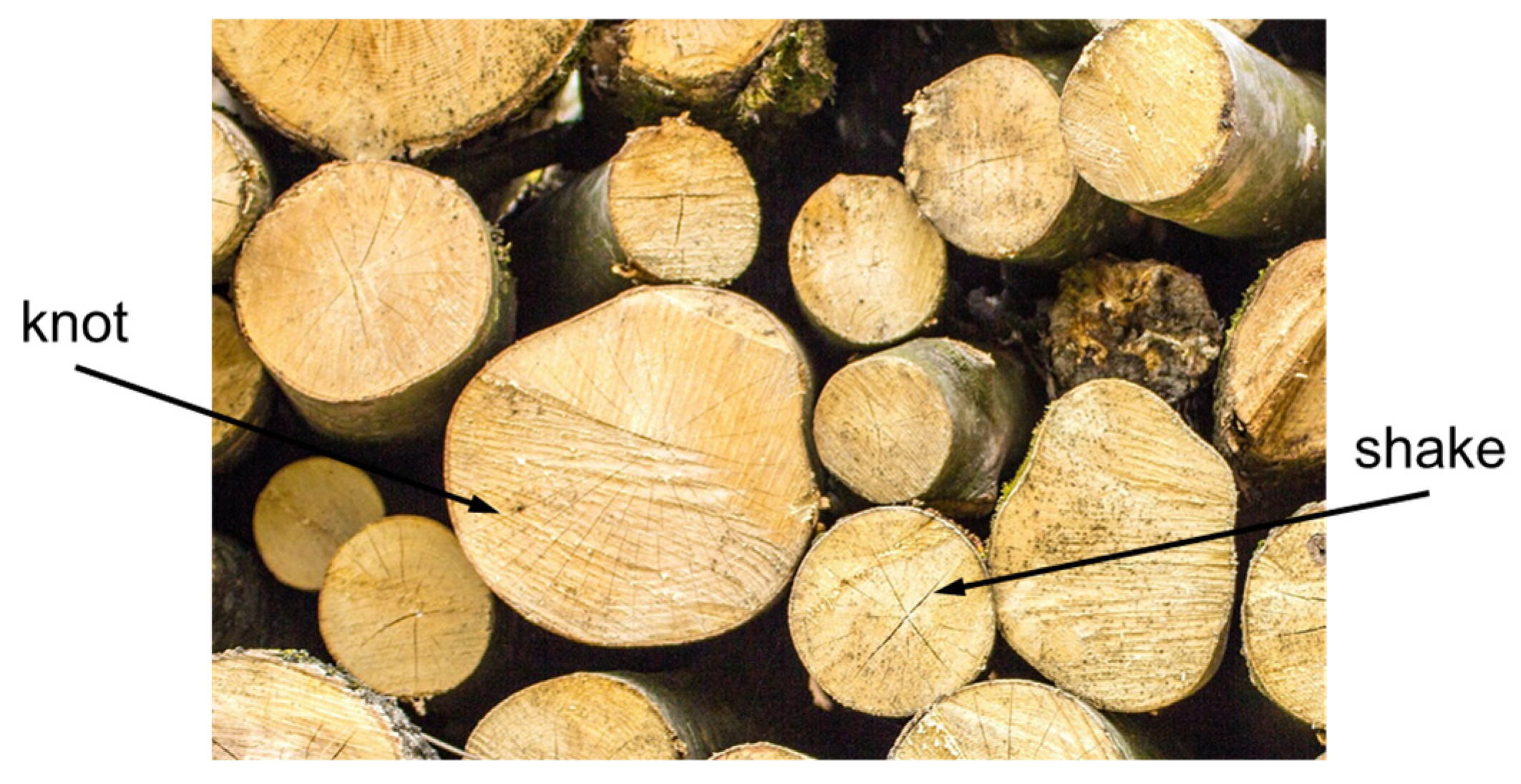 Polymers 15 00089 g002