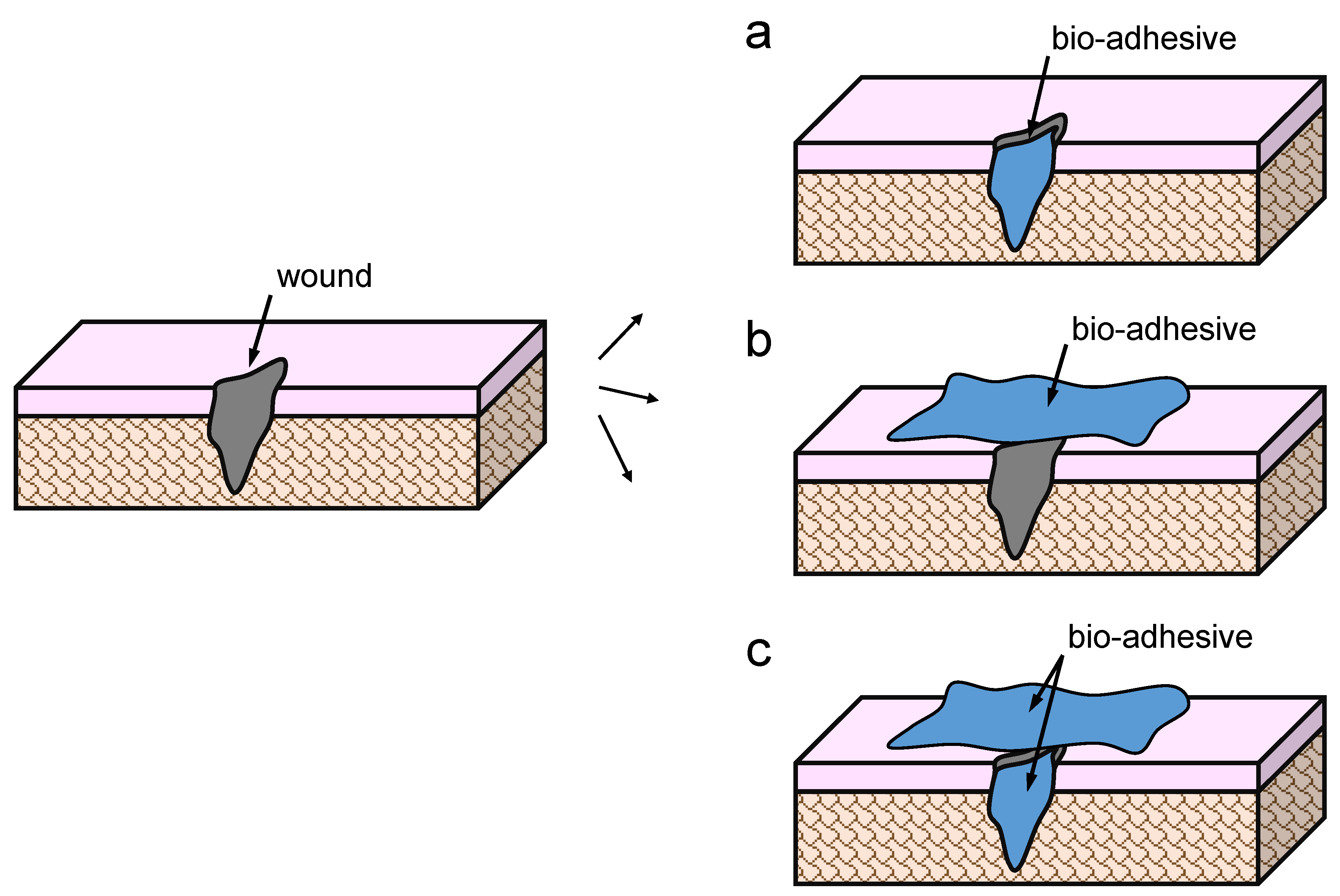 Polymers 15 00089 g006